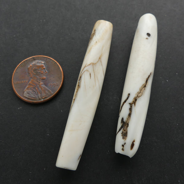 Naga, Shell Beads, Antique Chank Medium Slender Tube 2" Long, Sold as Pair