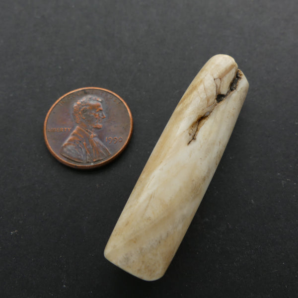 Naga, Shell Bead, Antique Chank Medium Tube 1 3/4" Long