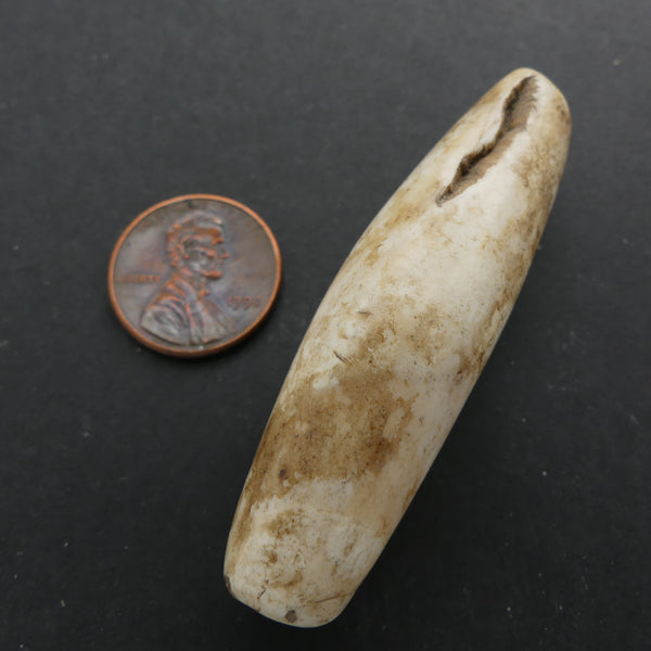 Naga, Shell Bead, Antique Chank Large Tube 2 1/4" Long