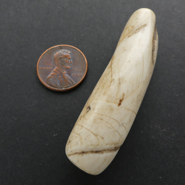 Naga, Shell Bead, Antique Chank Large Tube 2 1/4" Long