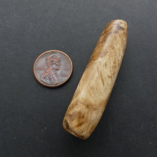Naga, Shell Beads, Antique Chank Large Tube 2 1/4" Long