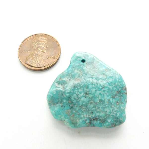 Turquoise, Nugget, Campitos Mine, 33x31mm