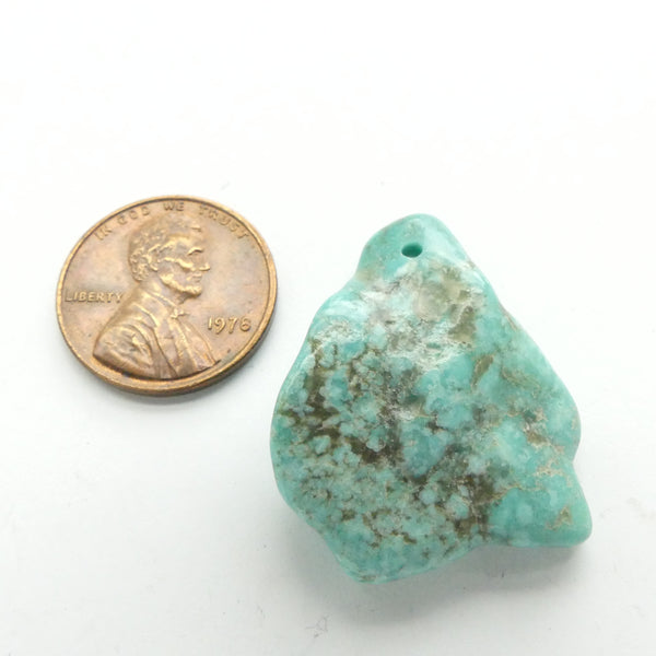 Turquoise, Nugget, Campitos Mine, 30x23mm