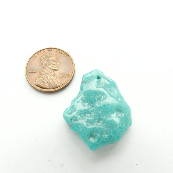 Turquoise, Nugget, Campitos Mine, 29x22mm