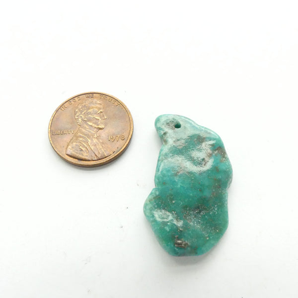 Turquoise, Nugget, Campitos Mine, 30x15mm