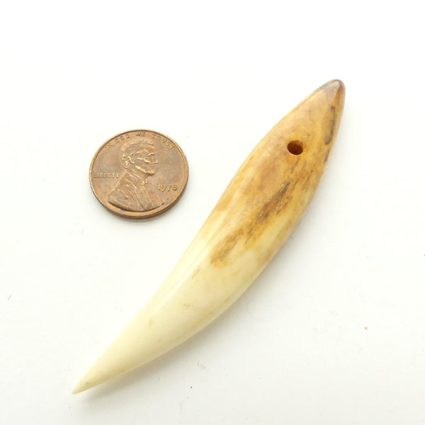 Bone, Faux Big Animal Teeth, 3-3.5 inches Long, Sold Individually