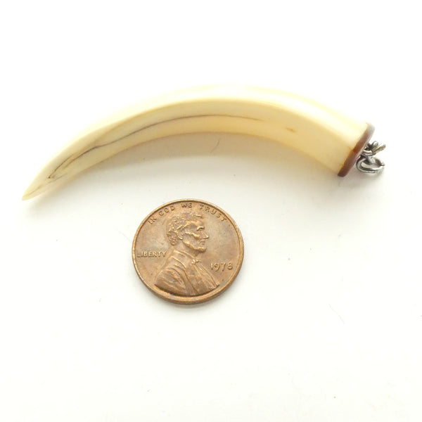 Bone, Tooth Replica about 3 inches Long