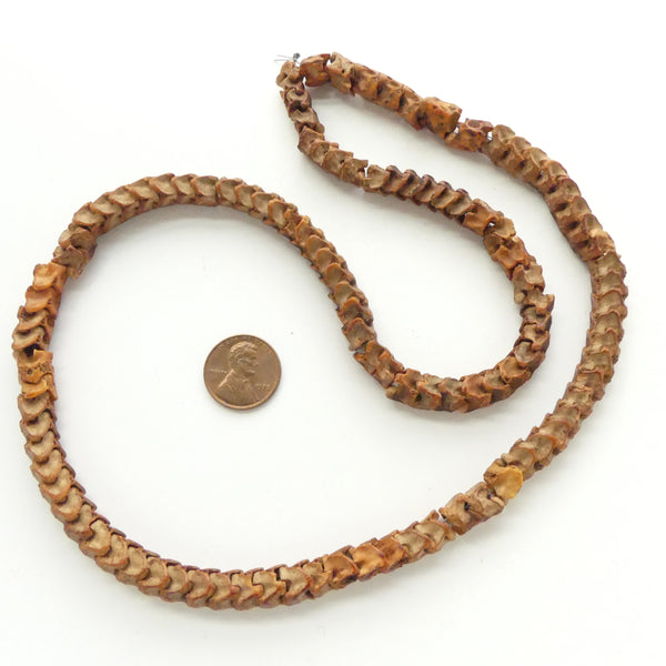 Bone, Snake Vertebrae 8mm Diameter, 23-inches Long