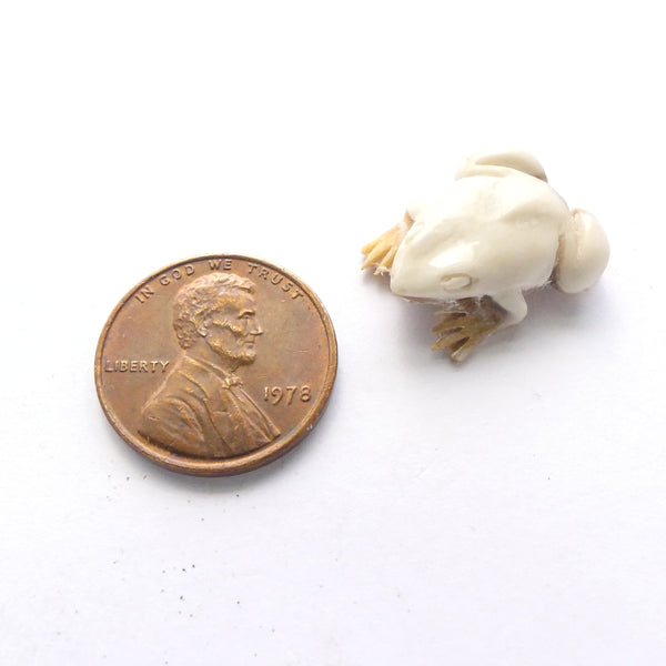 Bone, Tiny Frog, Carved in Walrus or Mammoth Tusk, 20mm Long,