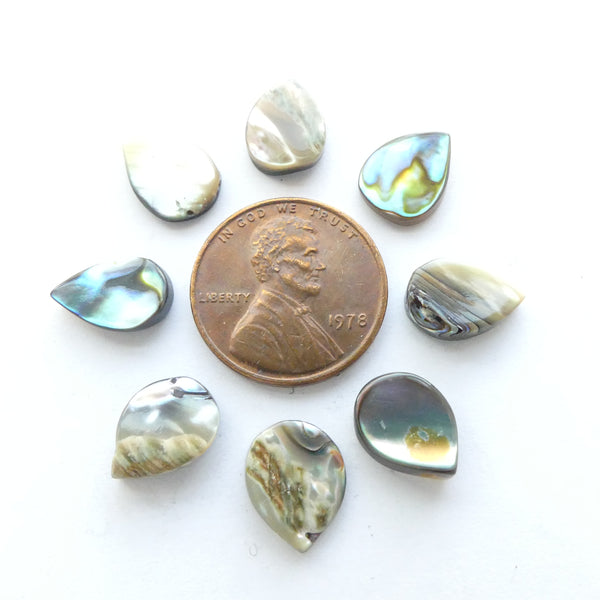 Shell, Abalone, Small Flat Teardrops 12x9mm, Top Drilled, Sold by the Set of 8