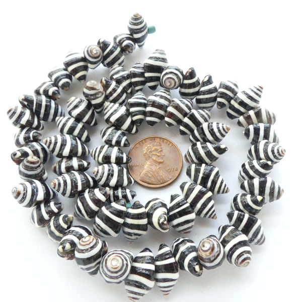 Shells, Small Black and White Zebra Shells on 16-inch Strands