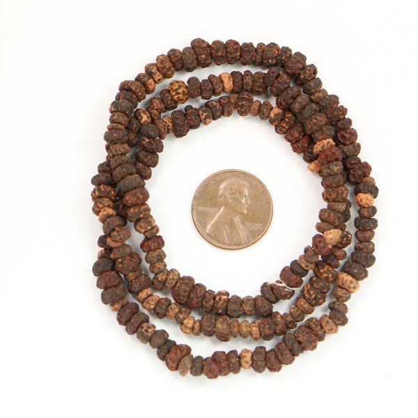 Seeds? Mostly Dark Brown, Very Irregular Surface, 3x5mm on 20-inch Strand
