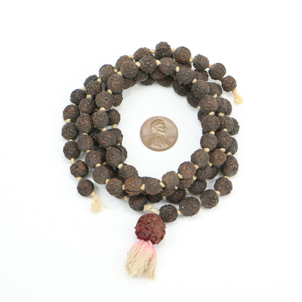 Rudraksha, Broken Mala of 96 Small Dark Beads and 1 16mm Large Brown One