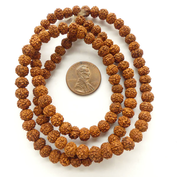 Rudraksha, Set of 4 Loose Beads, Largest 17mm Diameter and 5x6mm Beads on 22-inch Strand