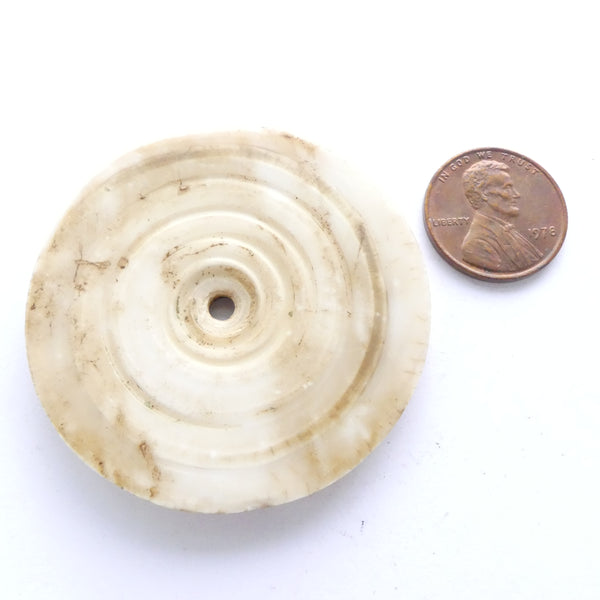 Shell, Chank Shell Disc Vintage, Polished, 48mm Diameter