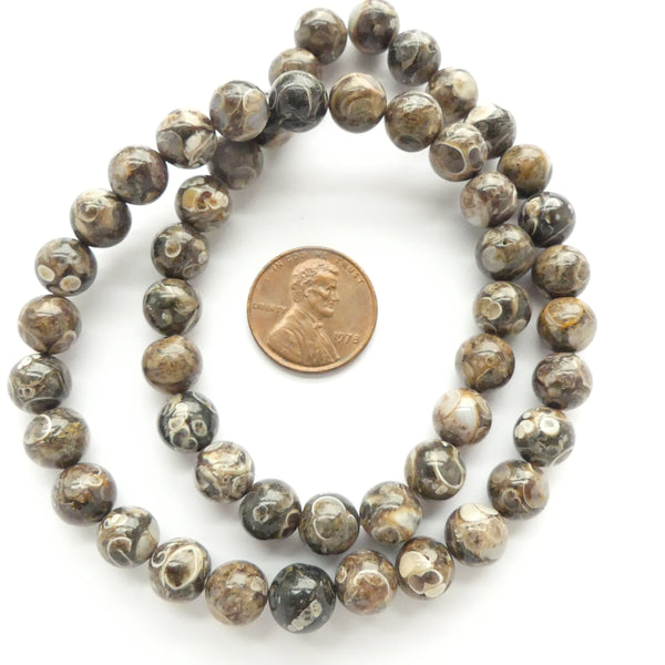 Turitella Agate, Round, 8mm on 16" Strands