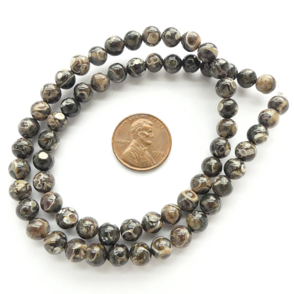 Turitella Agate, Round, 6mm on 16" Strands
