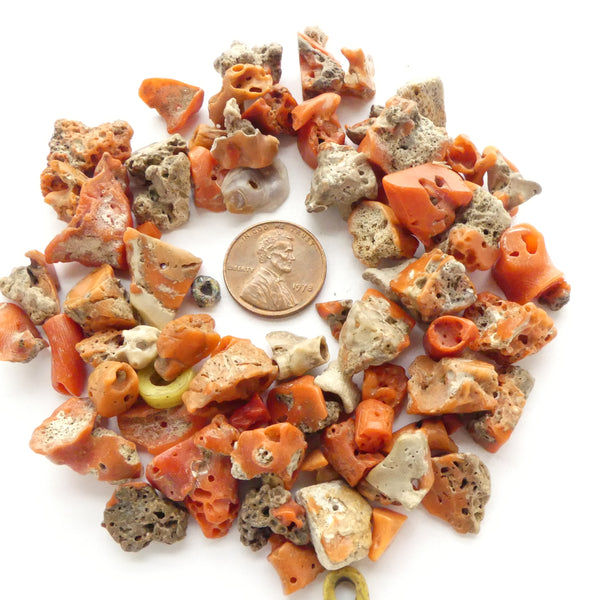 Coral, Rough Bits and Pieces from West Africa, Almost all Drilled, 52 grams