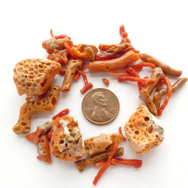 Coral, Mix of Antique and New with Sponge Coral, 22 grams