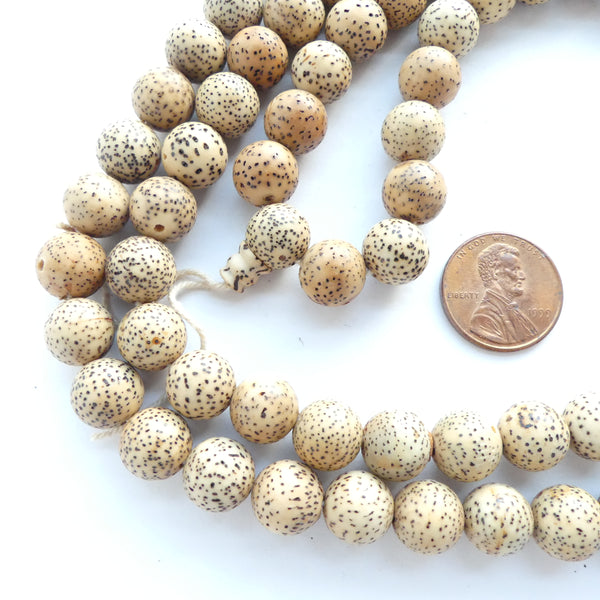 Lotus Seed Mala, 10mm Round Beads with Guru Bead, 42" Long