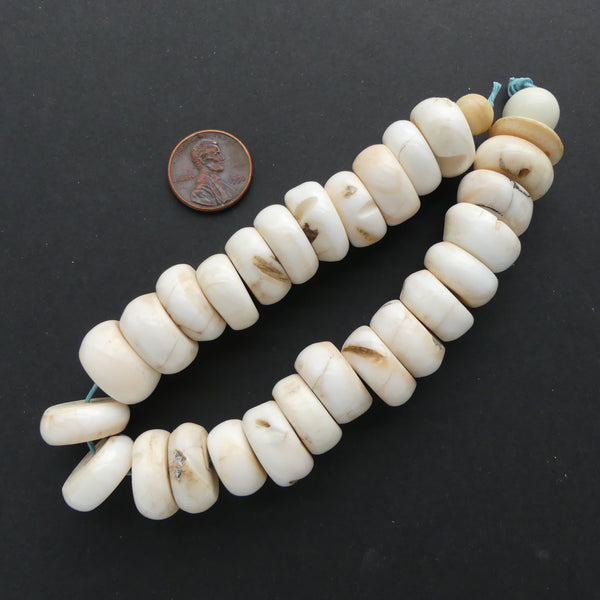Naga, Shell Beads, Chank Thick Slice 8 1/4" Strand