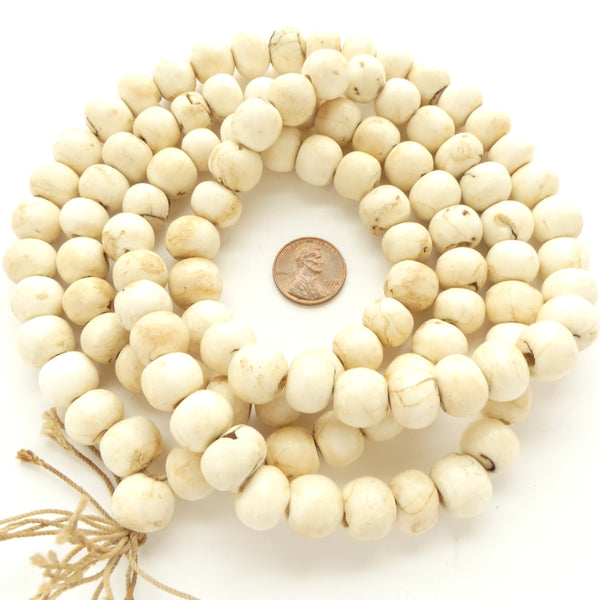 Himalayan Chank Shell Beads, Long Strands of 109 Beads