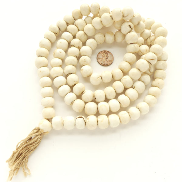 Himalayan Chank Shell Beads, Long Strands of 109 Beads