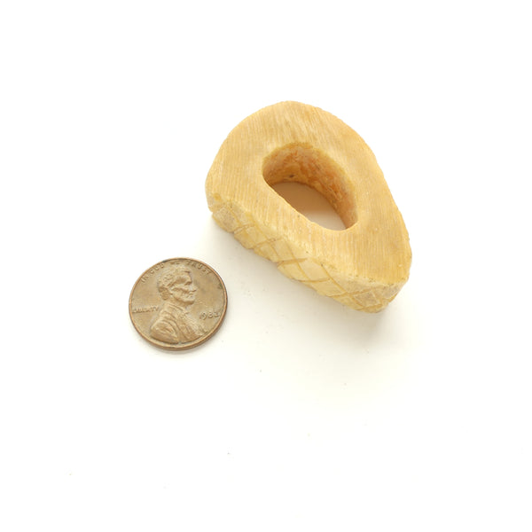 Bone, Large Natural Cross Section of a Bone with Exterior Markings, 15x44mm
