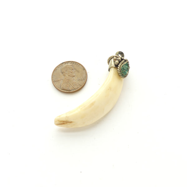 Tooth, Large Indian Animal Tooth Pendant Set in Silver with Turquoise, 50mm Long
