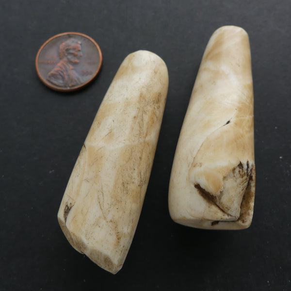 Naga, Shell, Antique Chank Cone Shaped, Light Beige, 2 inches Long by 3/4" Diameter, Set of 2