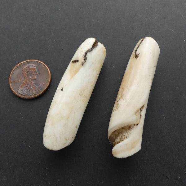 Naga, Shell Beads, Antique Chank Large Tube 2" Long, Sold as Set of 2