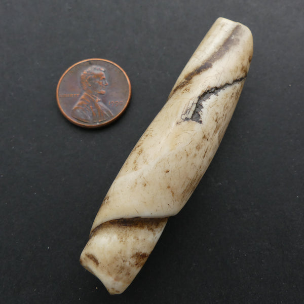 Naga, Shell Bead, Antique Chank Large Tube 2 5/8" Long