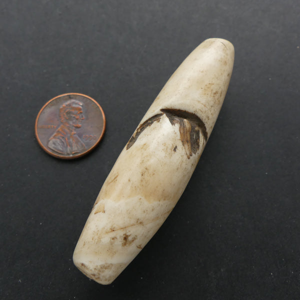 Naga, Shell Bead, Antique Chank Large Tube 2 1/2" Long