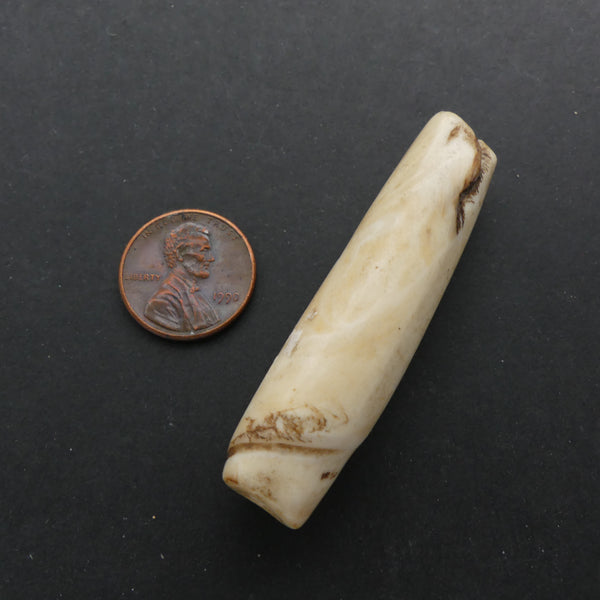 Naga, Shell Bead, Antique Chank Large 2 1/4" Long
