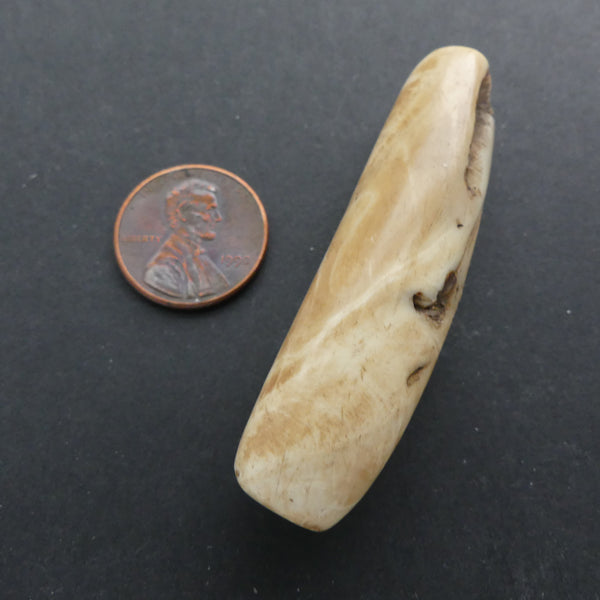 Naga, Shell Bead, Antique Chank Large Tube 2 1/4" Long