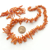 Coral, Mediterranean from West Africa, Short Graduated Branches on 15-inch Strand