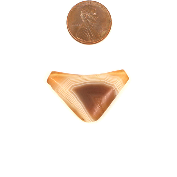 Ancient Stone "Leech" Bead, Brown, Tan, Amber, 34x19mm