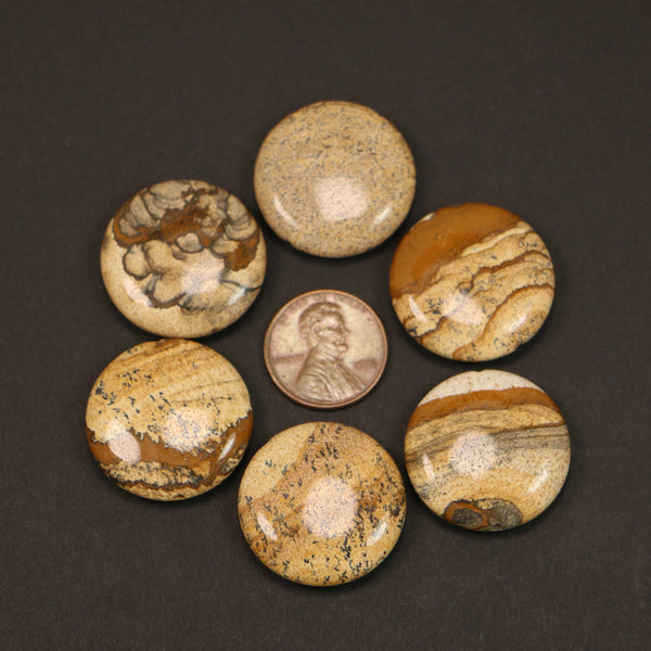 Picture Jasper, Coin Shape with Rounded Edges, 25mm Diameter, Sold Individually