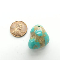 Turquoise, Nugget, Campitos Mine, 27x20mm