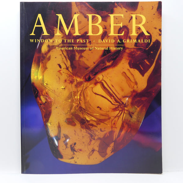Amber, Window on the Past. by David Grimaldi