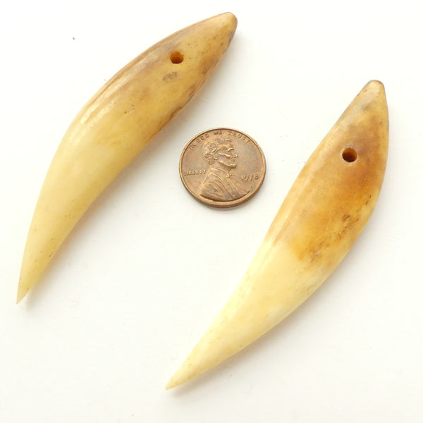 Bone, Faux Big Animal Teeth, 3-3.5 inches Long, Sold Individually