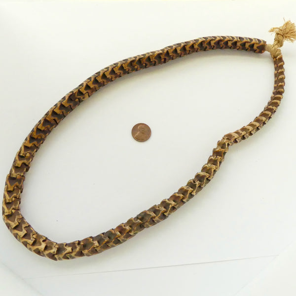 Bone, Snake Vertebrae, Extra Large 15mm Diameter 29 Inches Long