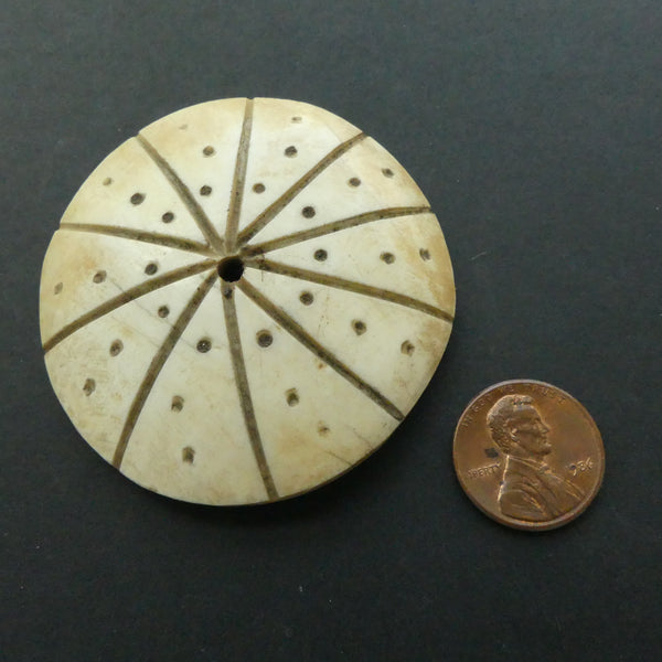 Shell, Large Disc with Geometric Designs and Center Hole, 55mm Diameter