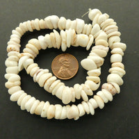 Puka Shells, 9mm Diameter on 15-inch Strand