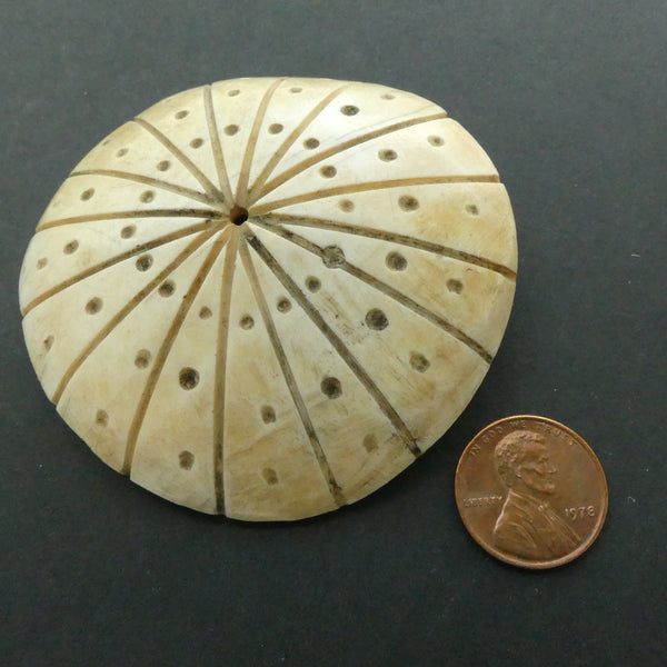 Shell, Large Disc with Dots and Lines Design, 65mm Diameter