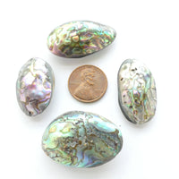 Shell, Abalone, Puffy Ovals 35x22mm, Priced and Sold Individually