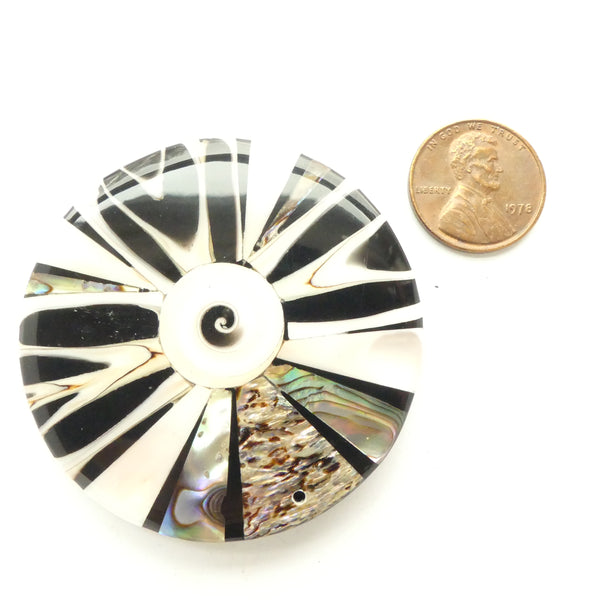Shell, Pendants of Shell Embedded in Resin, 50mm Diameter