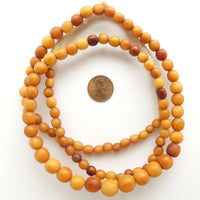 Bone Round, African, Graduated 7-10mm