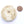 Shell, Chank Shell Disc Vintage, Polished, 48mm Diameter