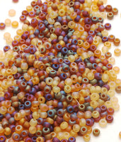 Seed Beads, Size 8, Matte Mix Tortoise AB